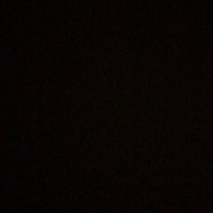 Meet your Posher, Renae